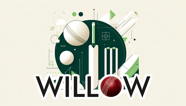 willlow tv live cricket